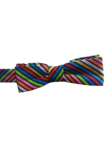 Toddler Boy Tropical Striped Cotton Bow Tie