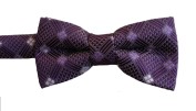 plum bow tie