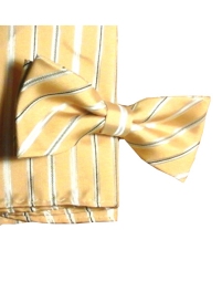 Bow Tie & Hanky Set - Golden