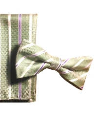 Bow Tie & Hanky Set - Sage Stripe