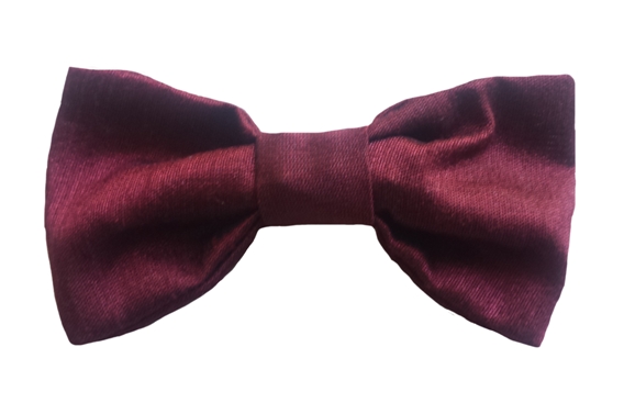 burgundy baby silk bow tie