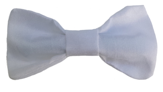 white baby silk bow tie
