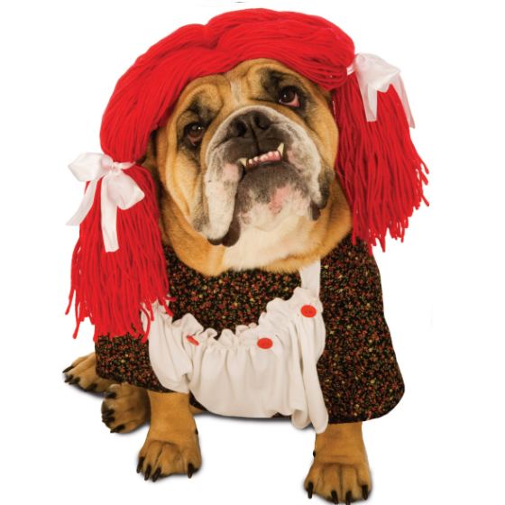 Rag Doll Matching Dog Costume