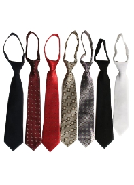 Patterns & Solids Satin Zipper Ties - 10 and 12 inches