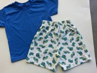Toddler Boys Knit Turtle Shorts w/ Tee - 2/4