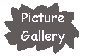 Picture Gallery !
